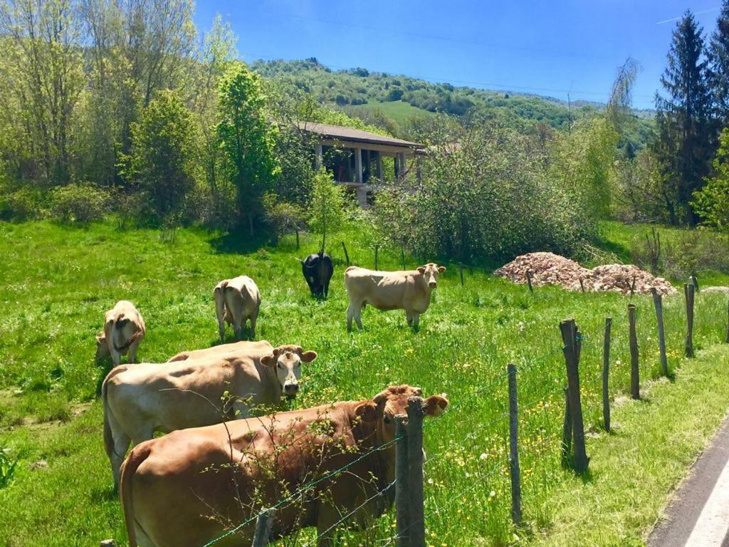 Hotel Monte Baldo เบรนโซเน ซูล การ์ดา ภายนอก รูปภาพ