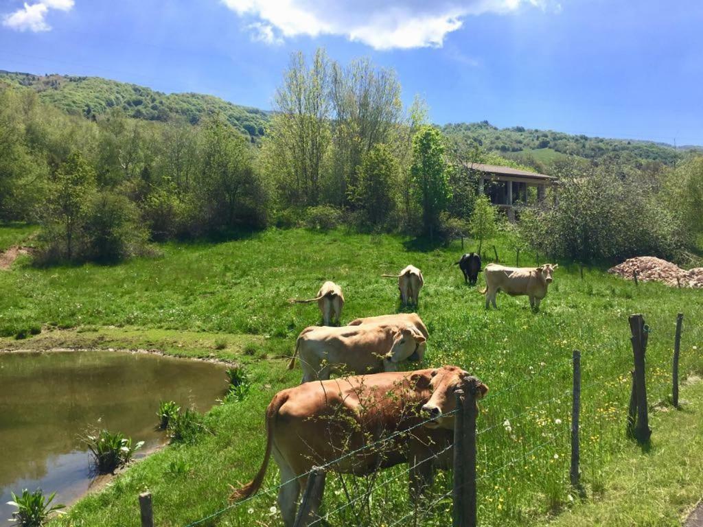 Hotel Monte Baldo เบรนโซเน ซูล การ์ดา ภายนอก รูปภาพ